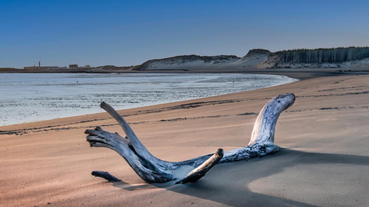 Studio "Les Pieds Dans L'Eau" - 50M Front De Mer Berck 외부 사진